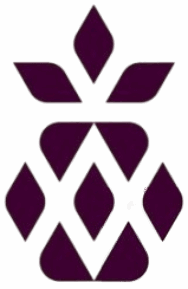 Cropped cropped burak bal dribbble removebg preview.png